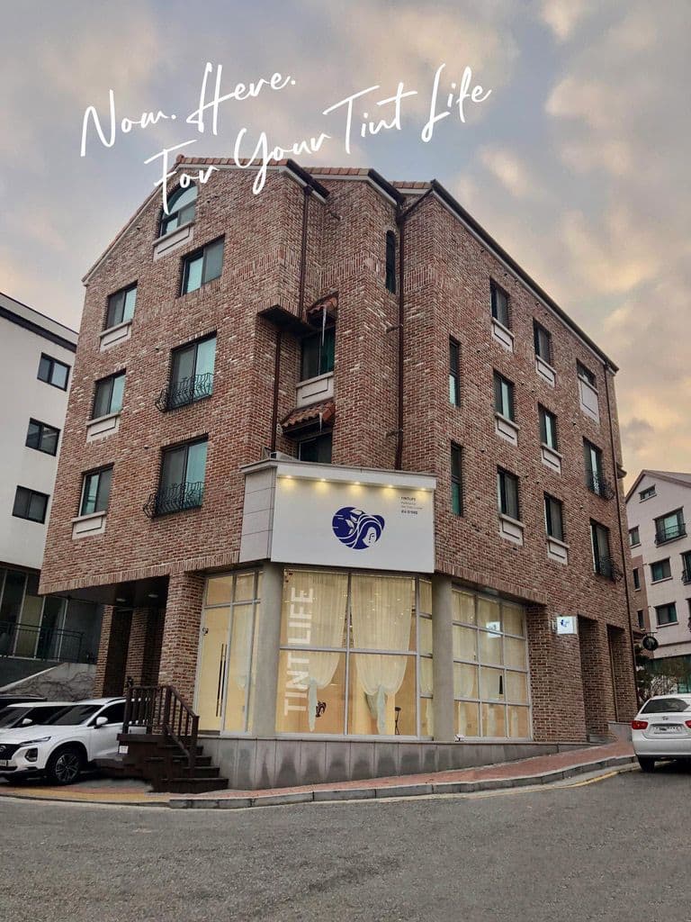 틴트라이프